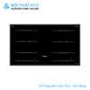 Bếp Từ 2 Vùng Nấu PT-028